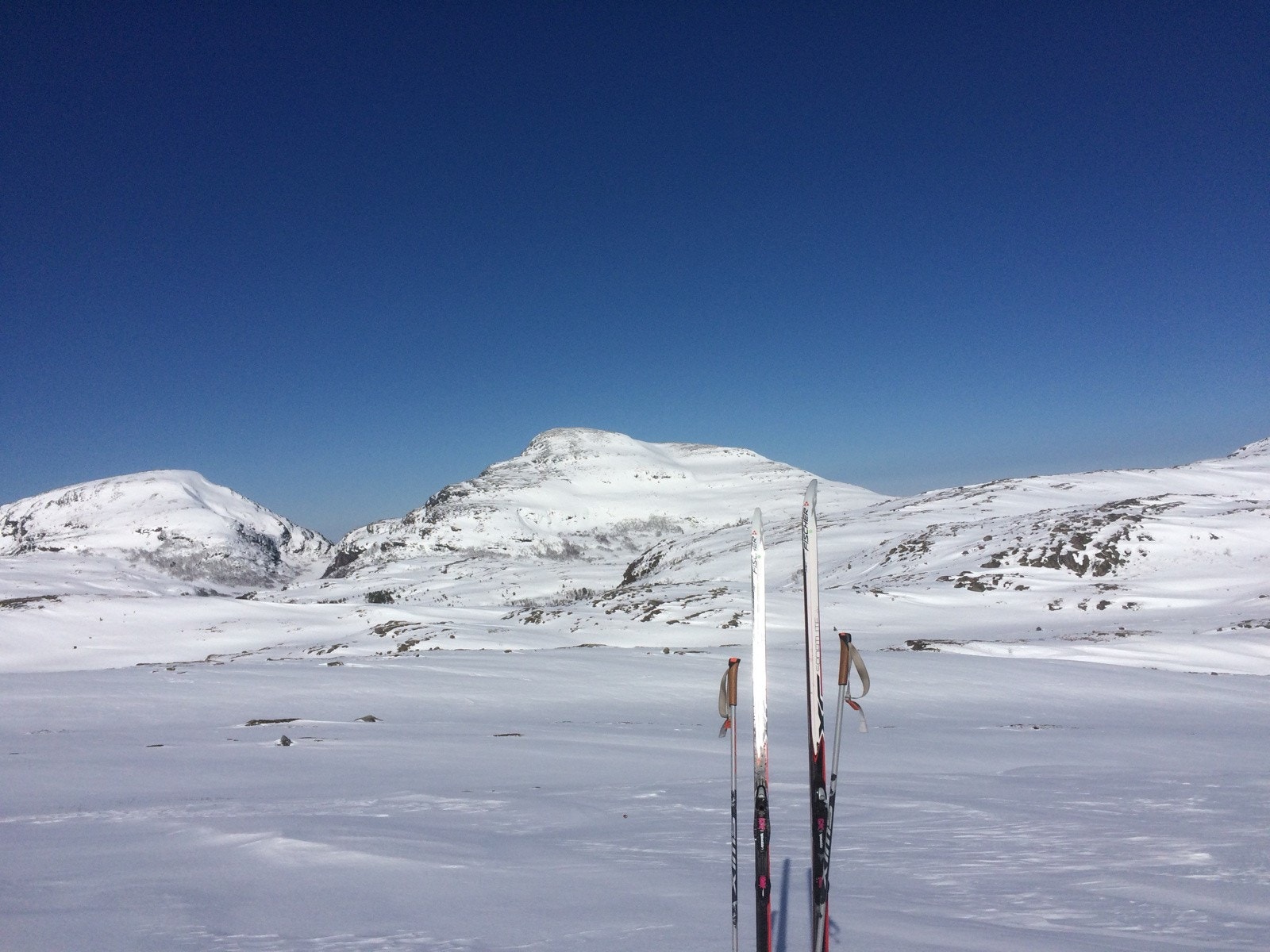 Nydelig turområder både sommer og vinter. Galleribilde