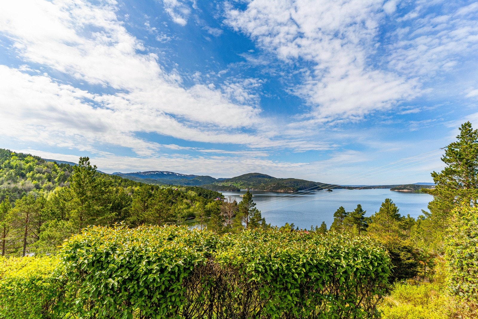 Fantastisk sjøutsikt. Galleribilde