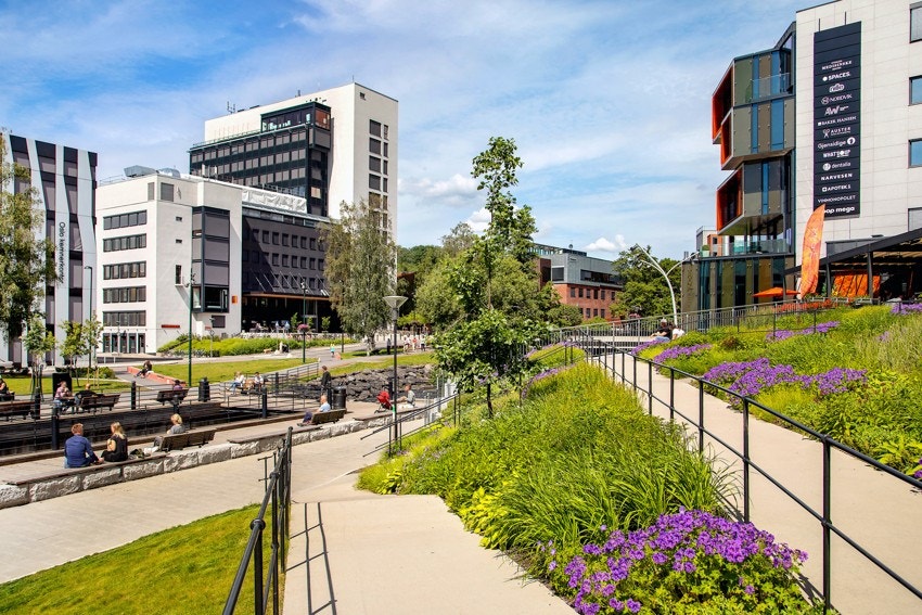 Det er nydelige turmuligher langs Akerselva. Her kan man gå hele veien til Maridalen og til sentrum. Galleribilde