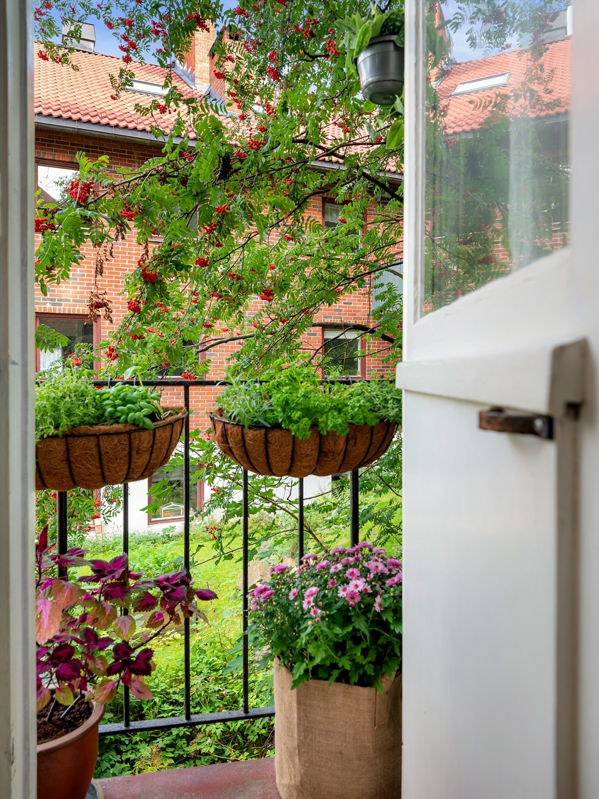 Den lille luftebalkongen er et perfekt sted å ha sin egen urtehage! Galleribilde