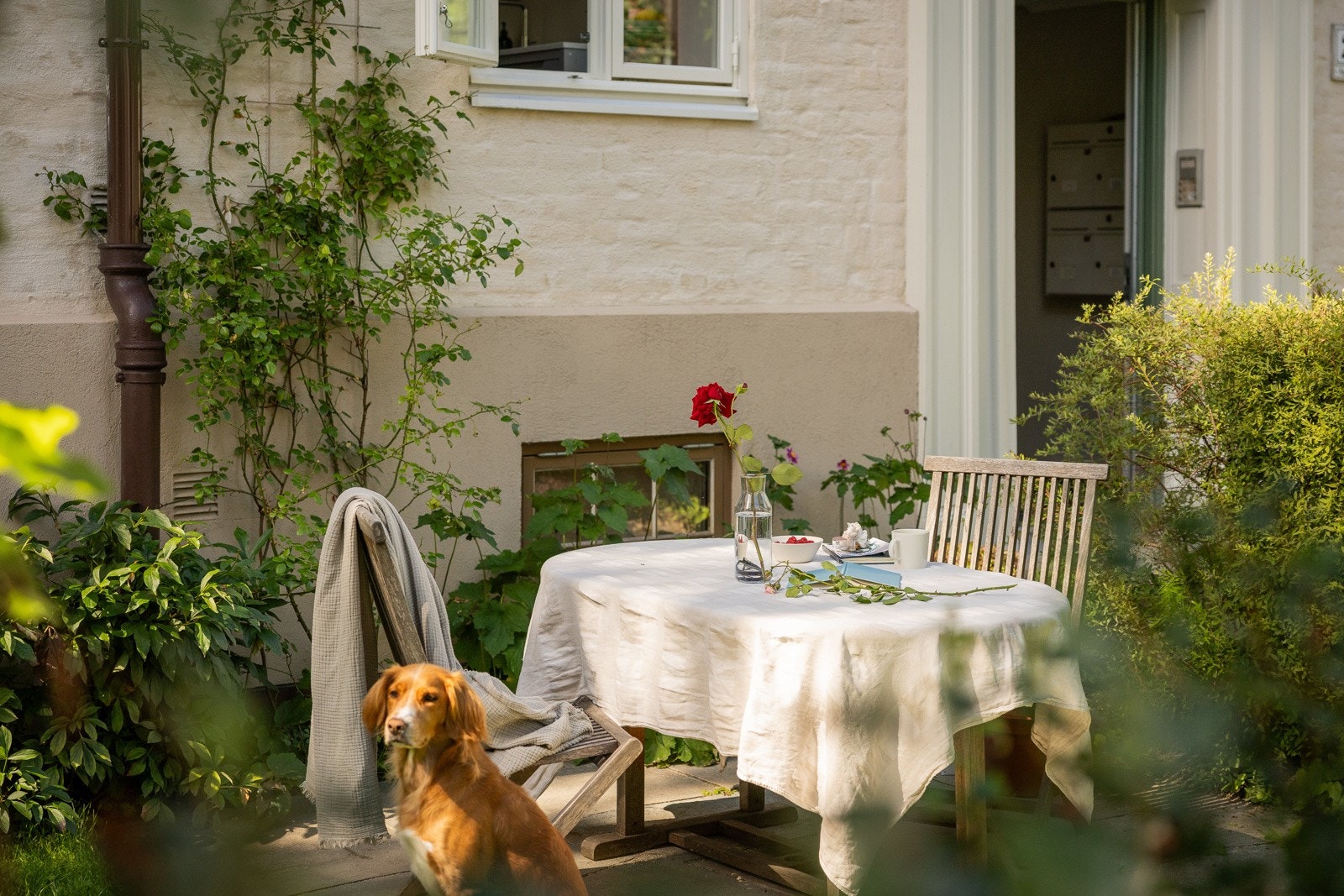 Rett utenfor leiligheten har du en flott opparbeidet forhage og bakgård med store plenarealer, diverse beplanting og prydbusker. Galleribilde