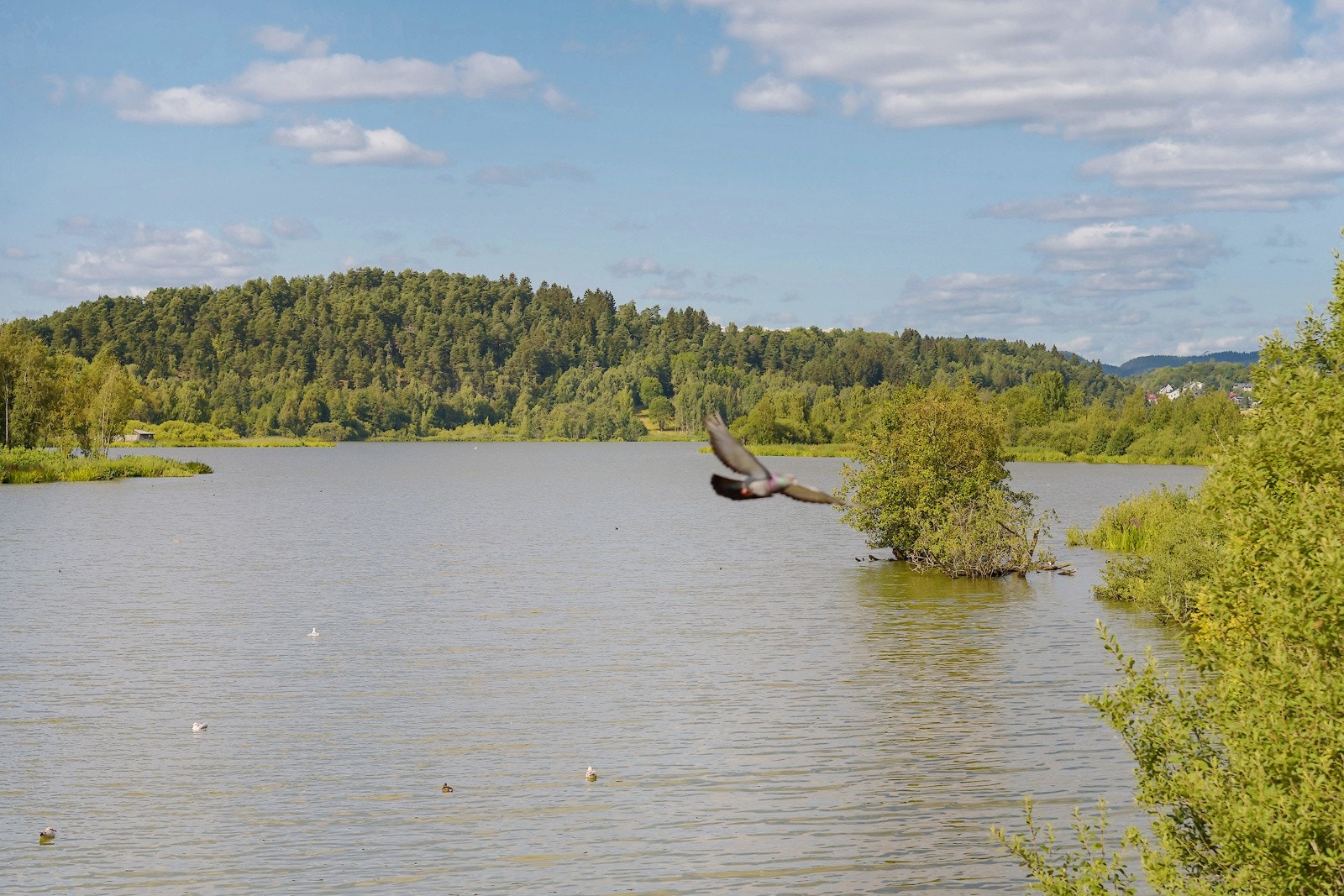 Gangavstand til Østensjøvannet. Galleribilde