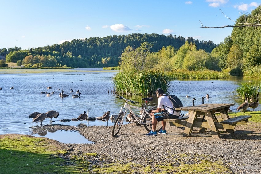 Nærhet til Østensjøvannet med fantastisk natur. Galleribilde