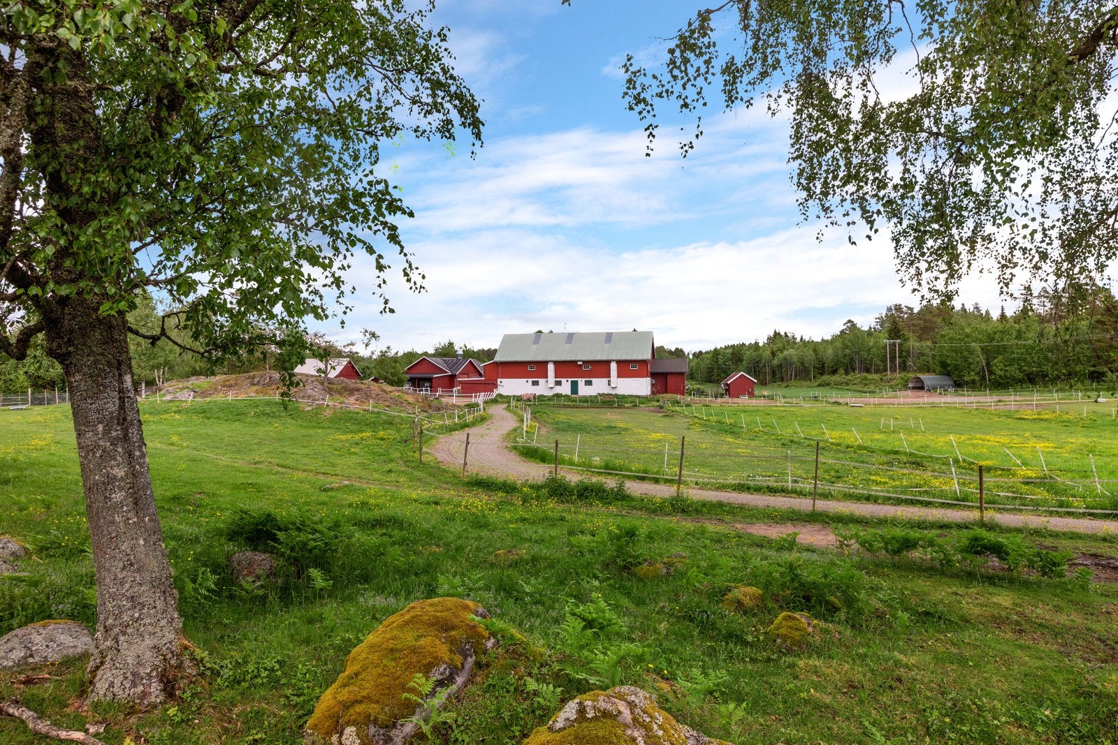Eiendommen er solrik og usjenert Galleribilde
