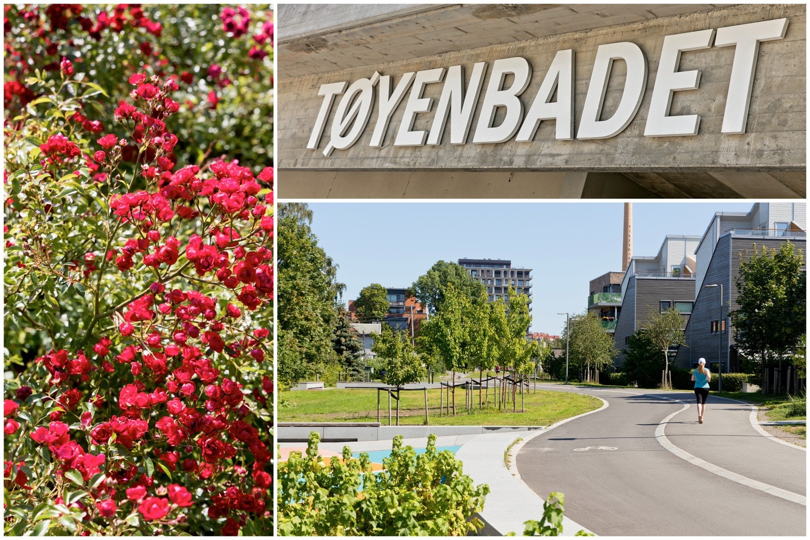 Det nye Tøyenbadet er planlagt ferdig sommeren 2024. Tøyenbadet skal bestå av både et innendørsanlegg, et utendørsanlegg og en fullverdig flerbrukshall. Galleribilde