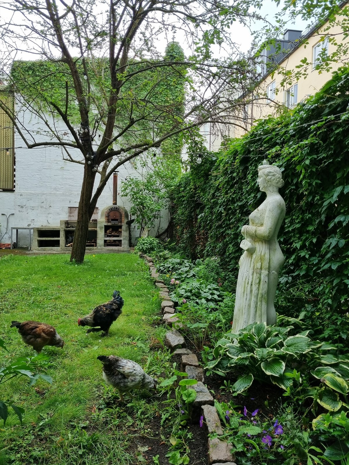 Noen i gården kom på den sprø ideen om å bygge et lite hønsehus i bakgården:-) I dag er det flere høner her, og beboerne som er medlem i andelslaget kan sanke egg. Galleribilde