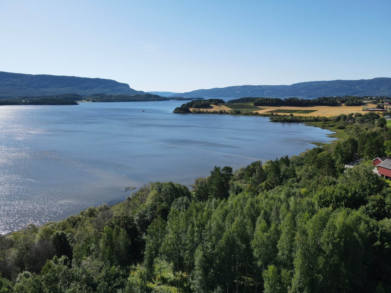 Tyrifjorden Galleribilde