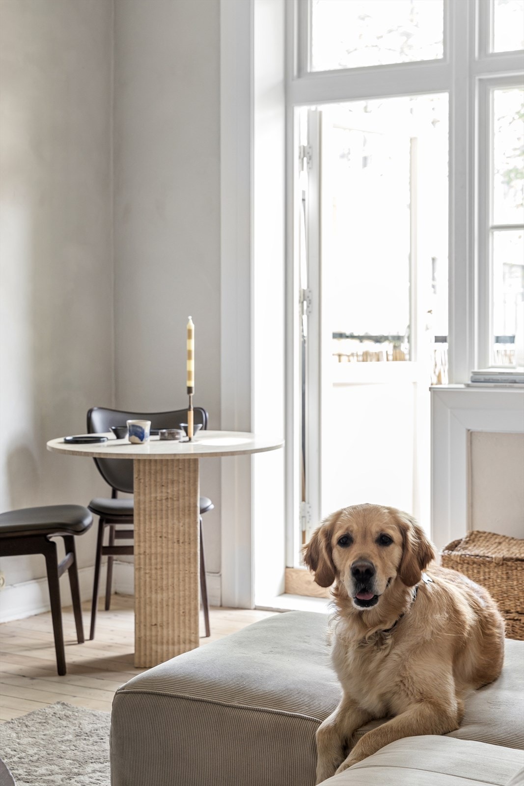 Torshov kvartal III er et godt sted å bo for både 2 og firbeinte Galleribilde