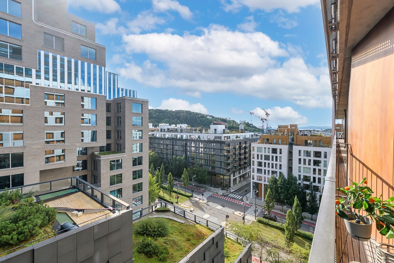 Fra balkongen har du en fantastisk utsikt mot Ekebergparken! Galleribilde