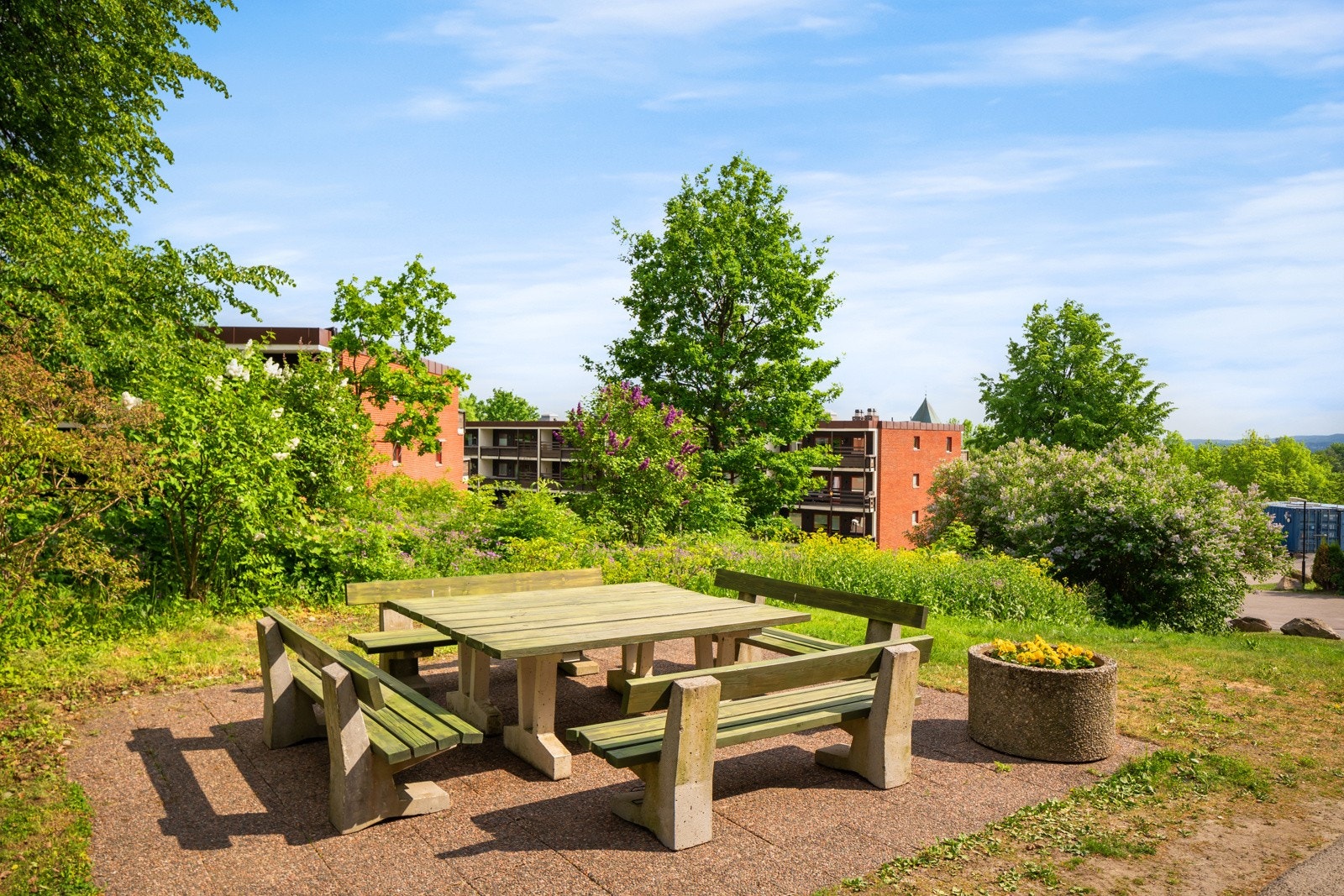 Sameiets fellesområder. Galleribilde