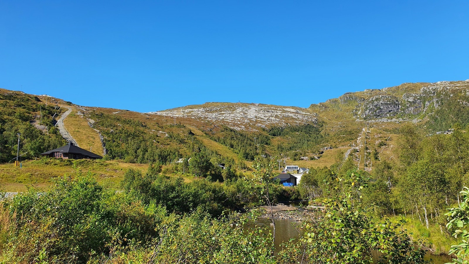 Fint turterreng sommer som vinter Galleribilde