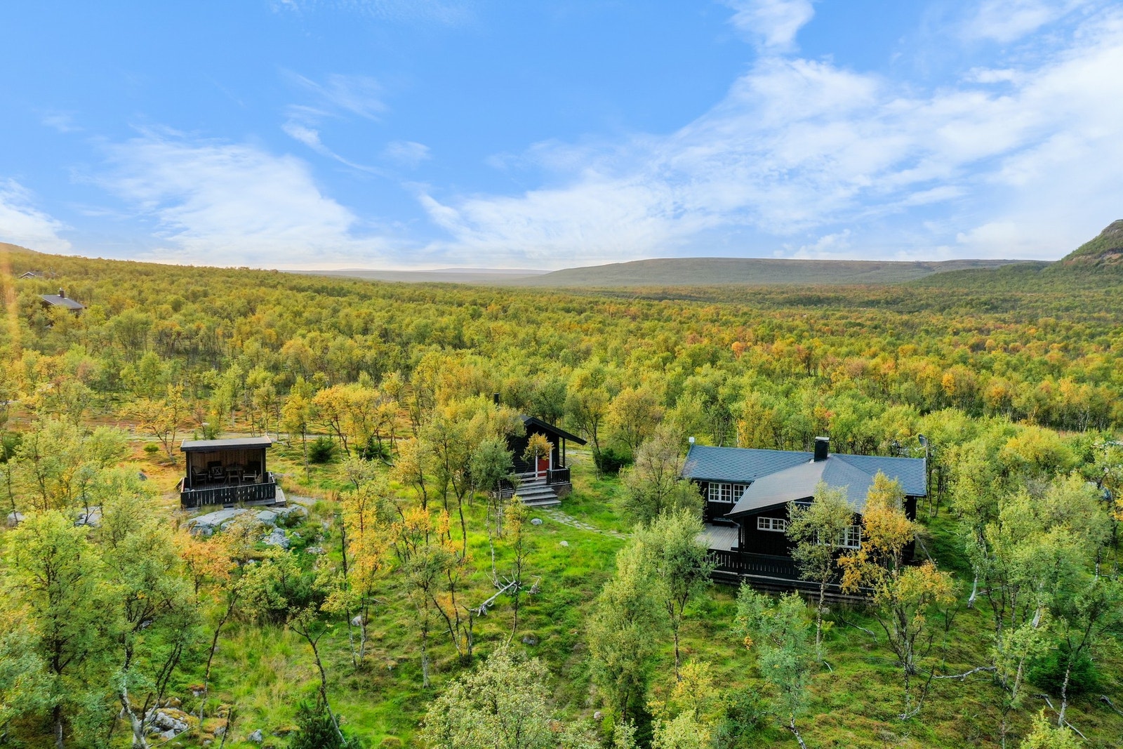 Velkommen til visning! Galleribilde