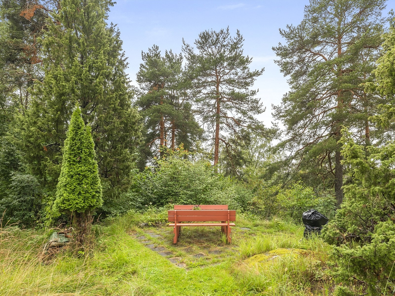 Rolig sitteområde omgitt av natur. Galleribilde
