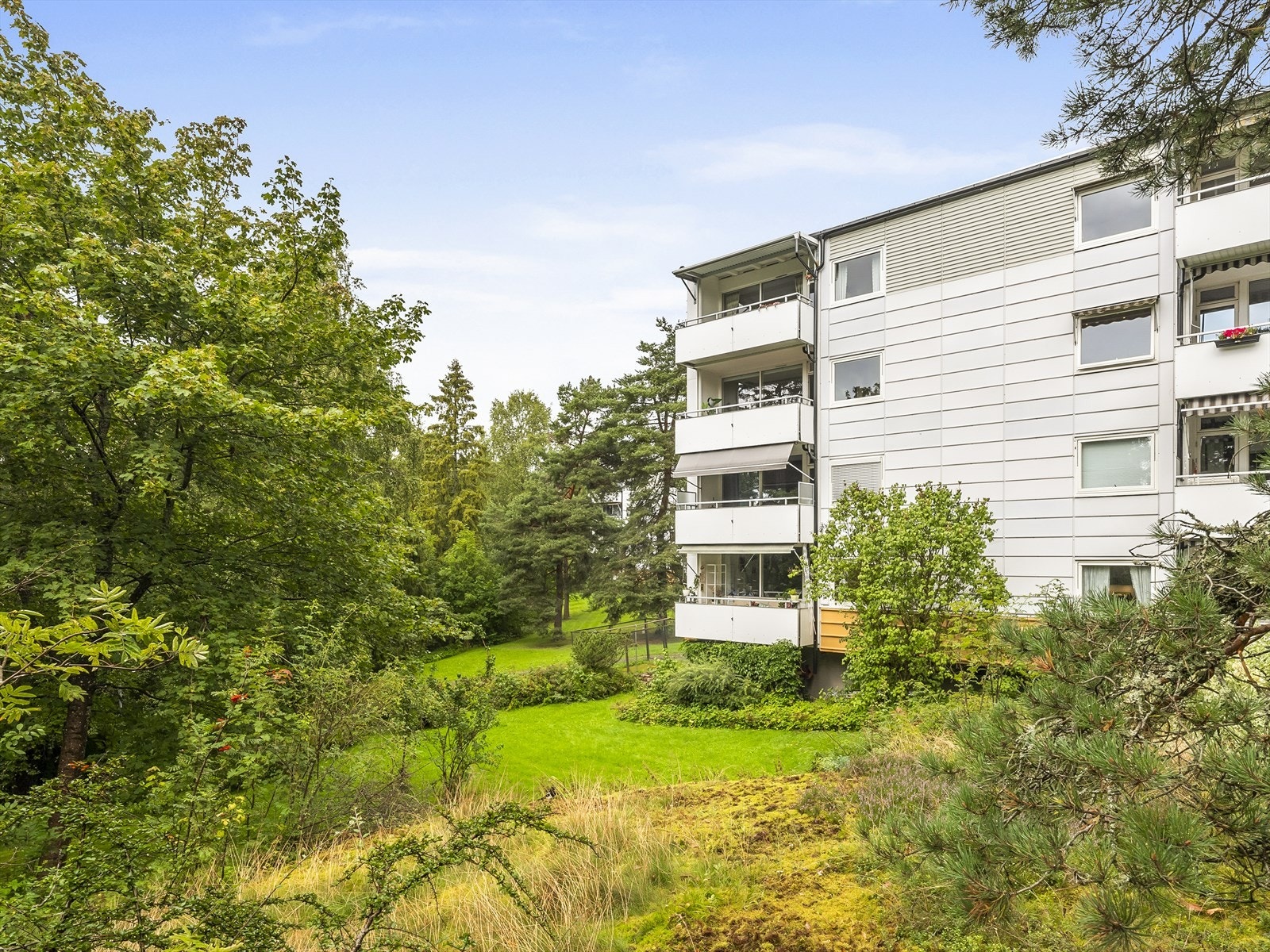 Leilighetskompleks omgitt av frodig natur. Galleribilde