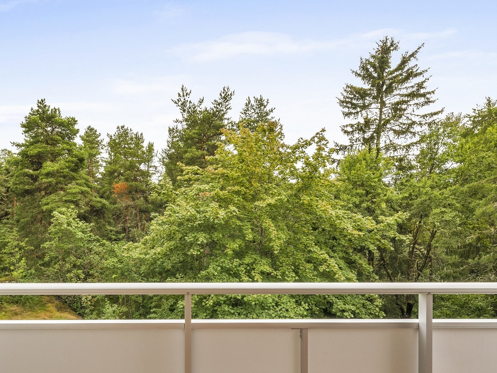Utsikt fra balkongen mot grønne trær. Galleribilde