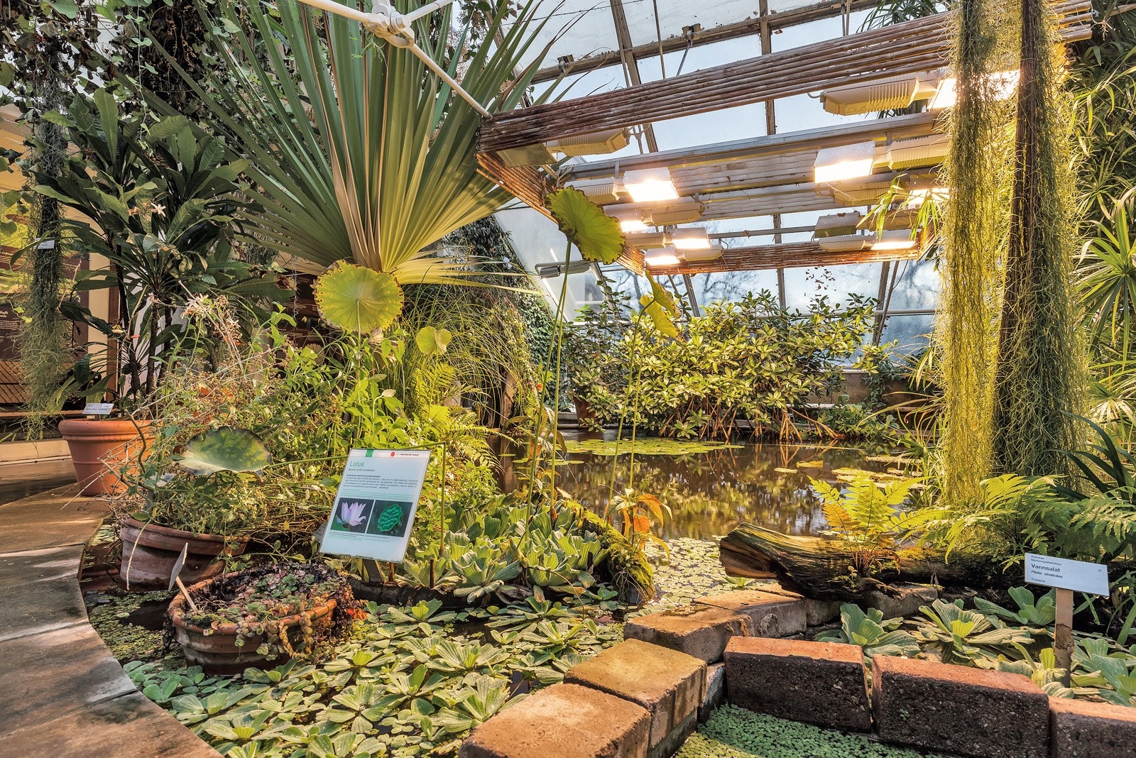 Her er det over 4500 planteslag fra hele verden! Galleribilde