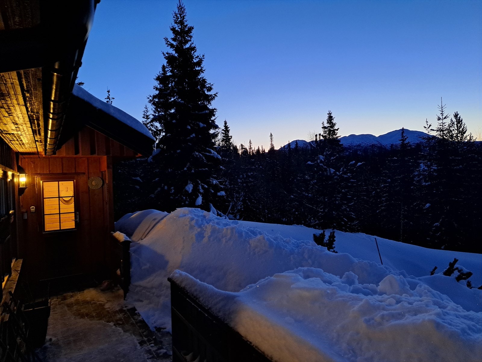 Selgers private bilder! Galleribilde