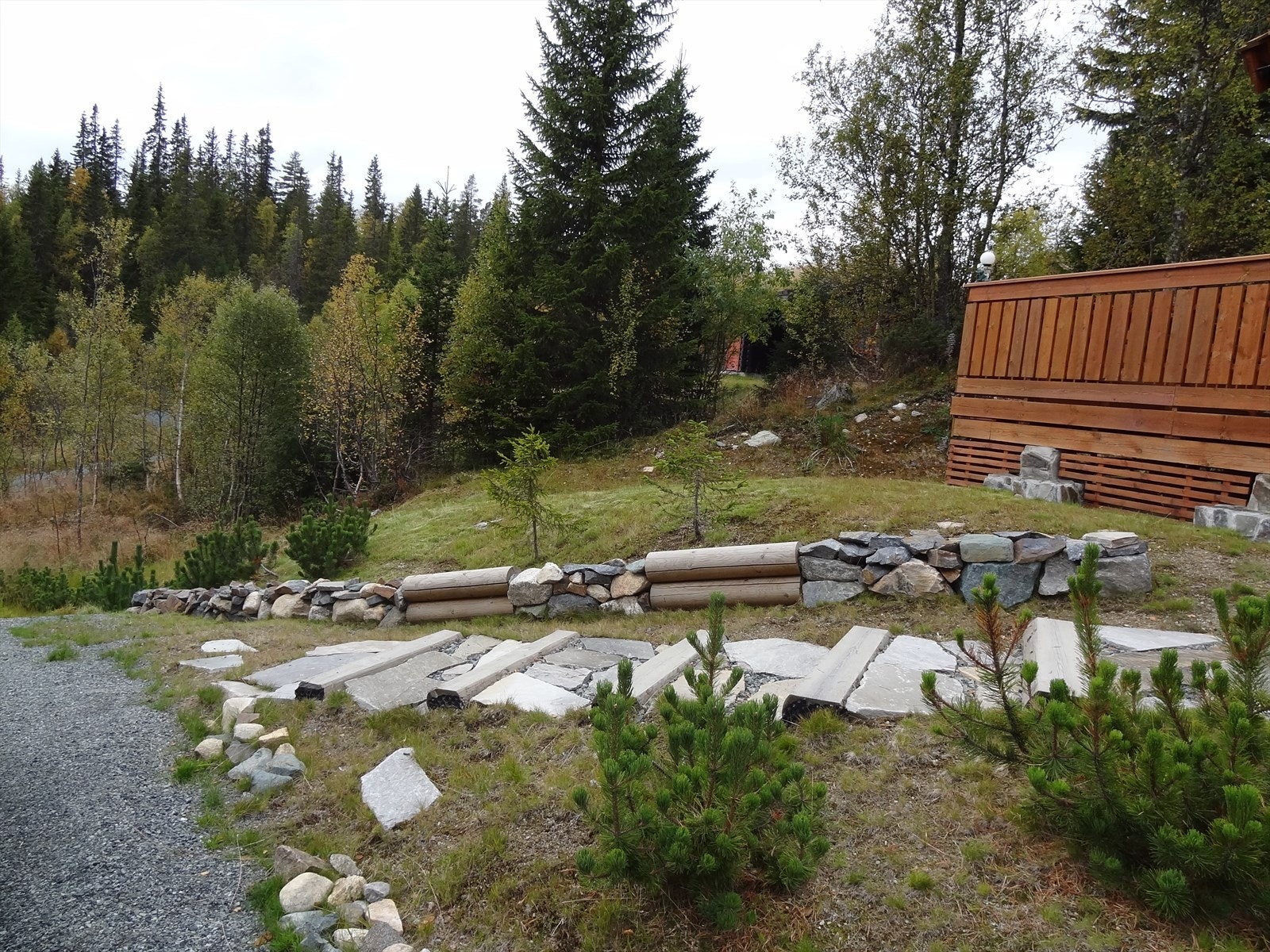 Selgers private bilder! Galleribilde