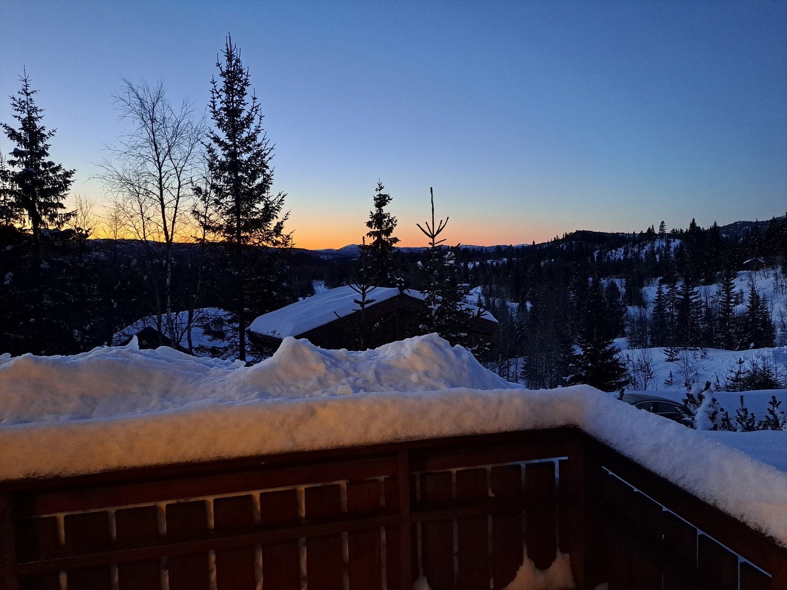 Selgers private bilder! Galleribilde