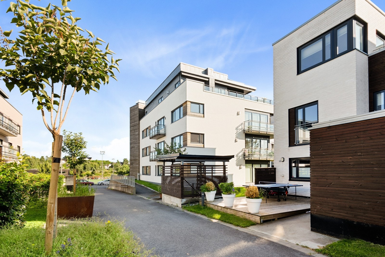 Fellesareal. Galleribilde