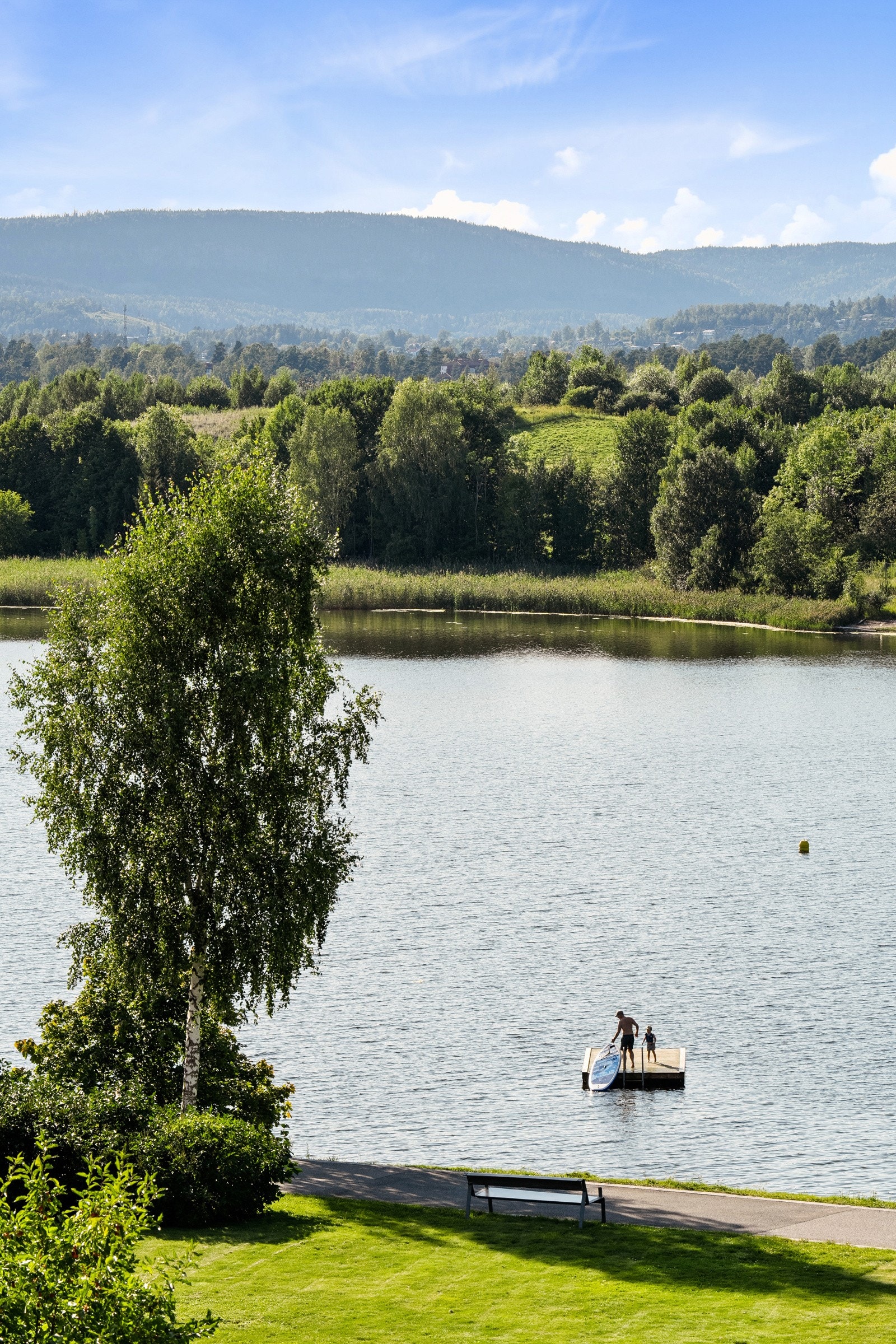 Utsikt. Galleribilde