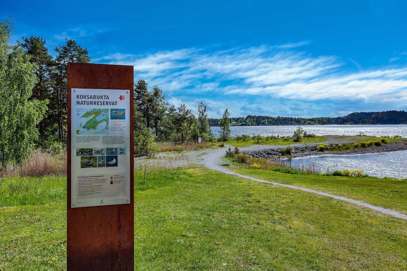 Nærområde. Galleribilde