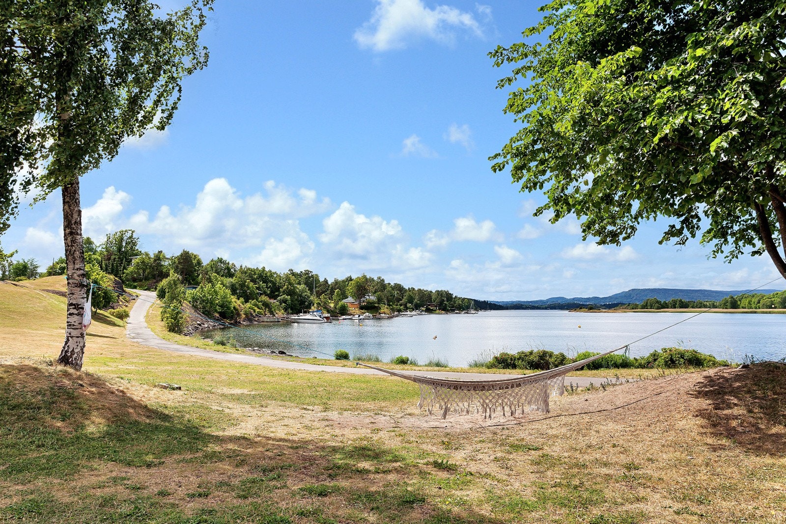 Nærområde. Galleribilde