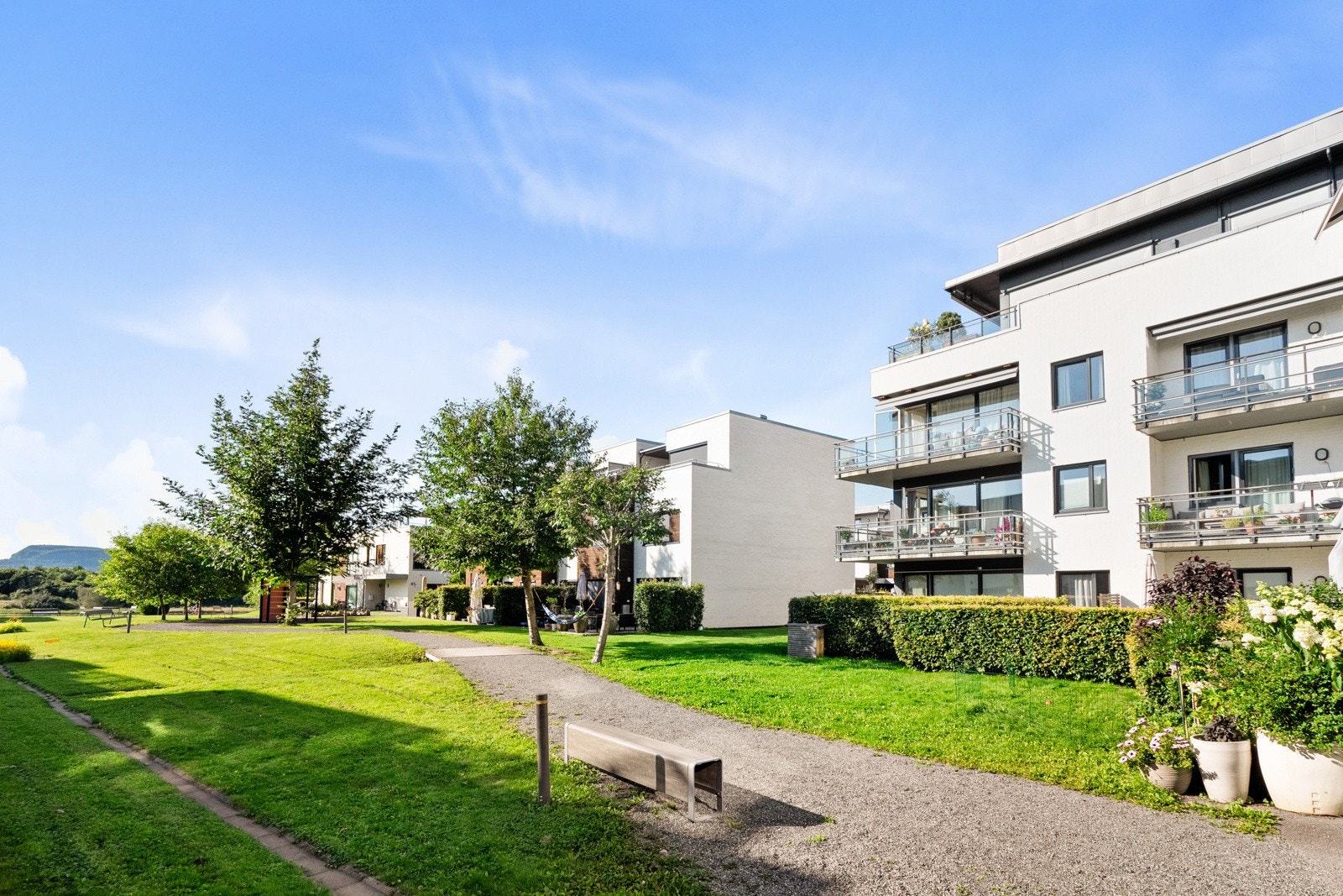 Fellesareal. Galleribilde