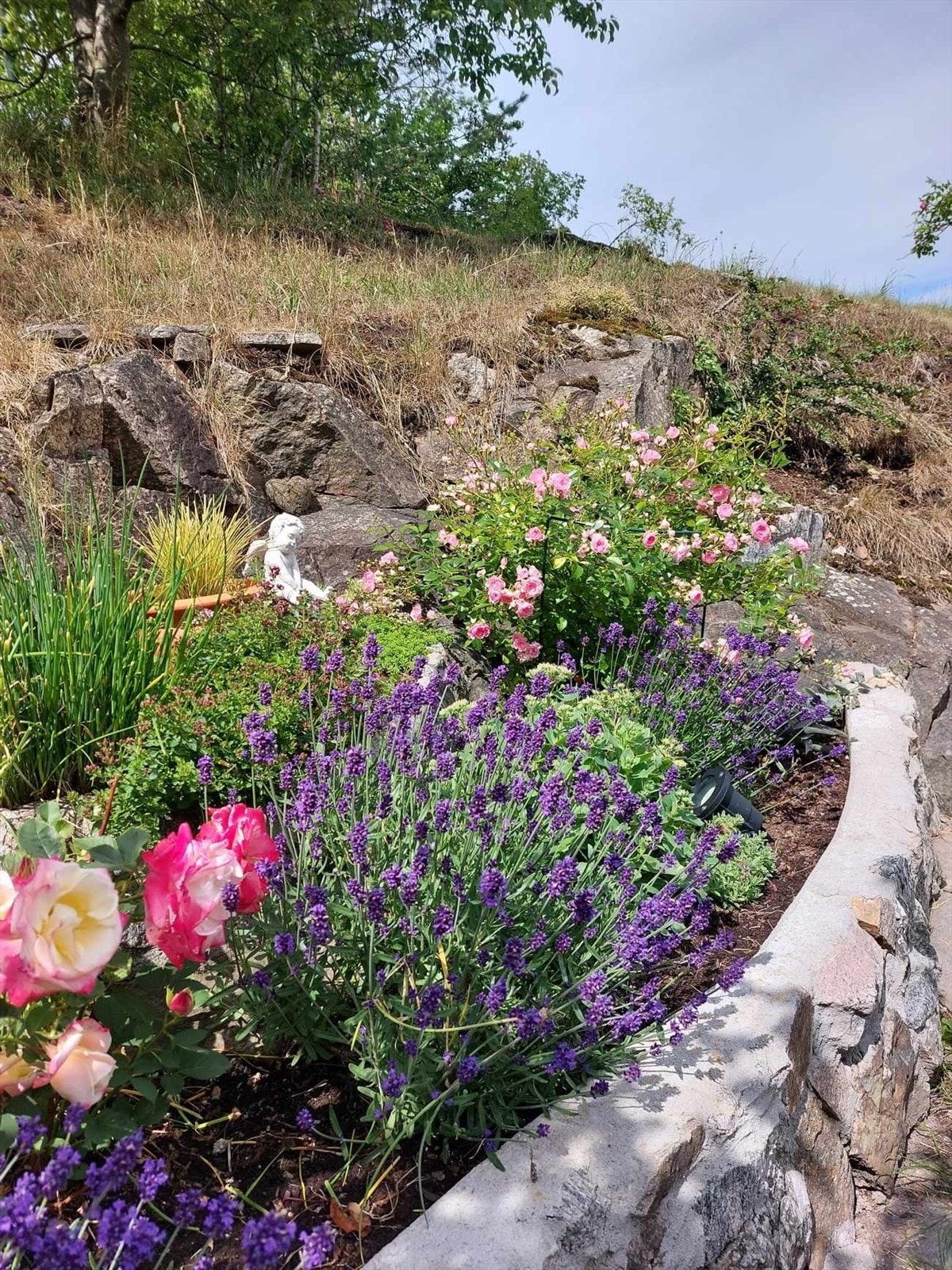 Selgers sommerbilder Galleribilde