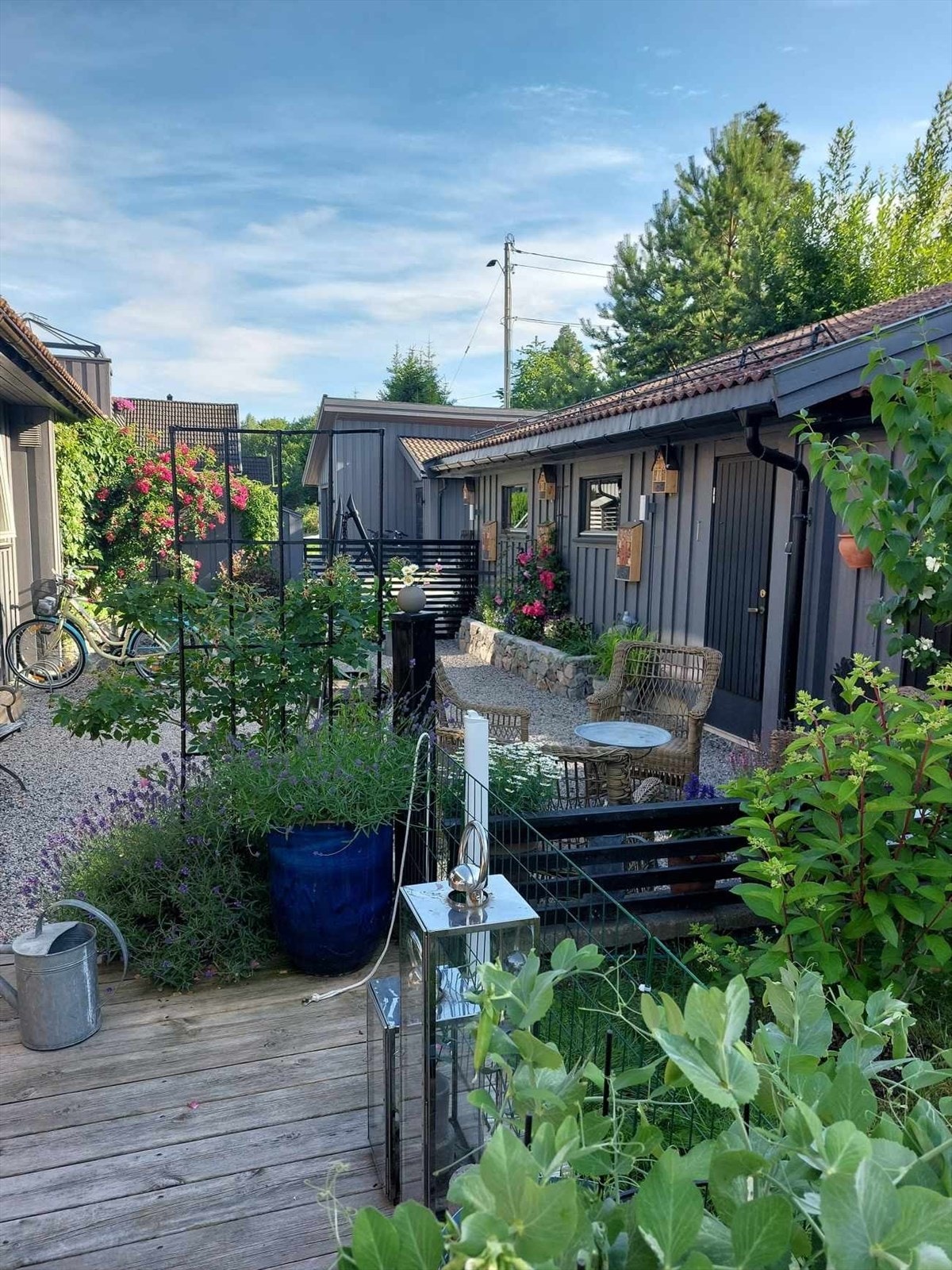 Selgers sommerbilder Galleribilde