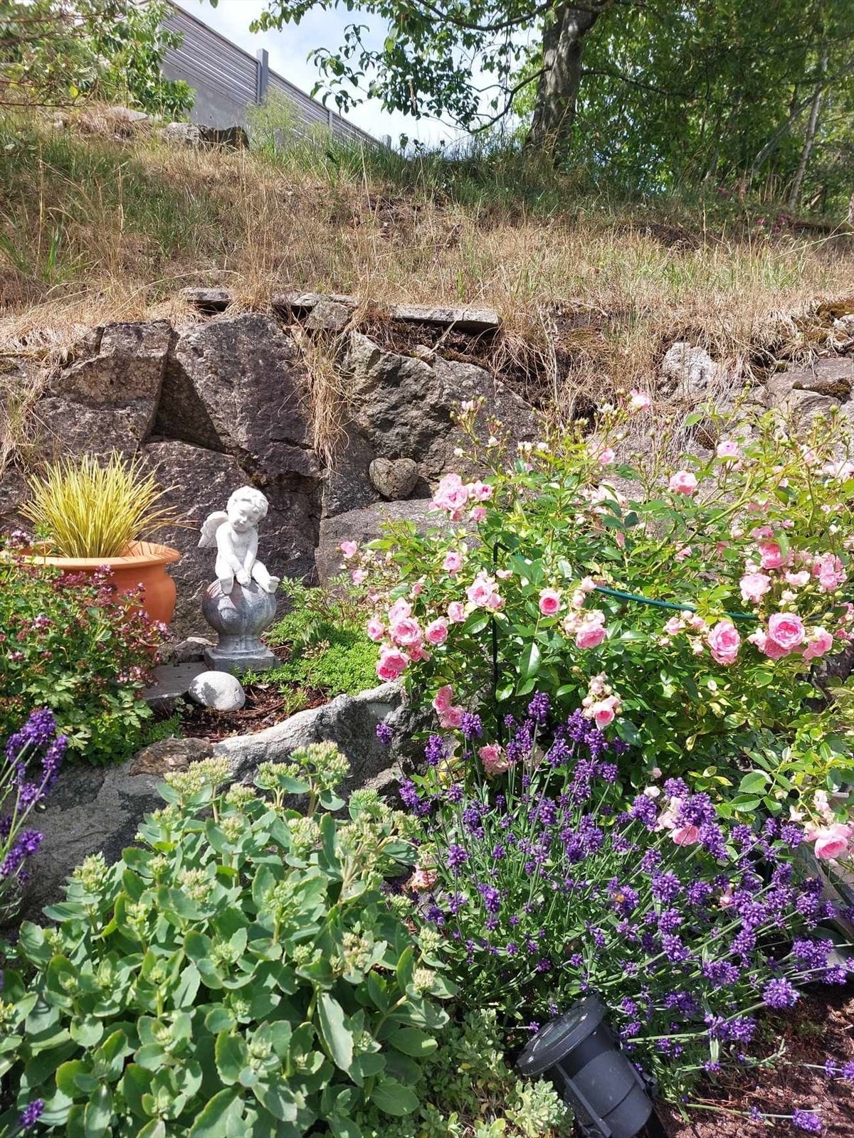 Selgers sommerbilder Galleribilde