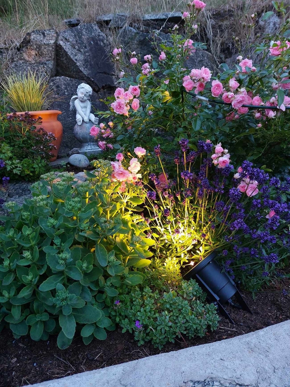 Selgers sommerbilder Galleribilde