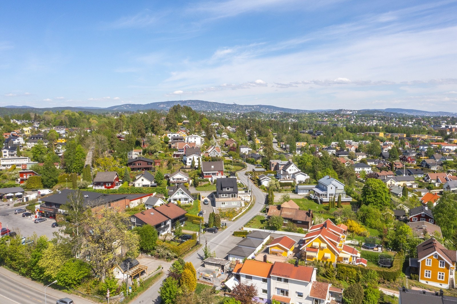 Dronefoto av nærområdet Galleribilde