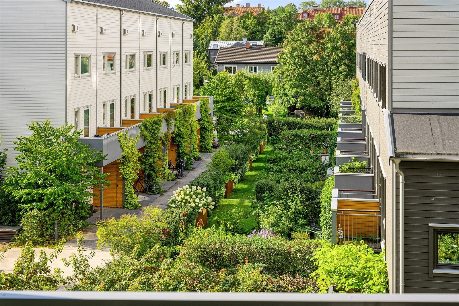 Fine, grønne hager i nabolaget. Galleribilde