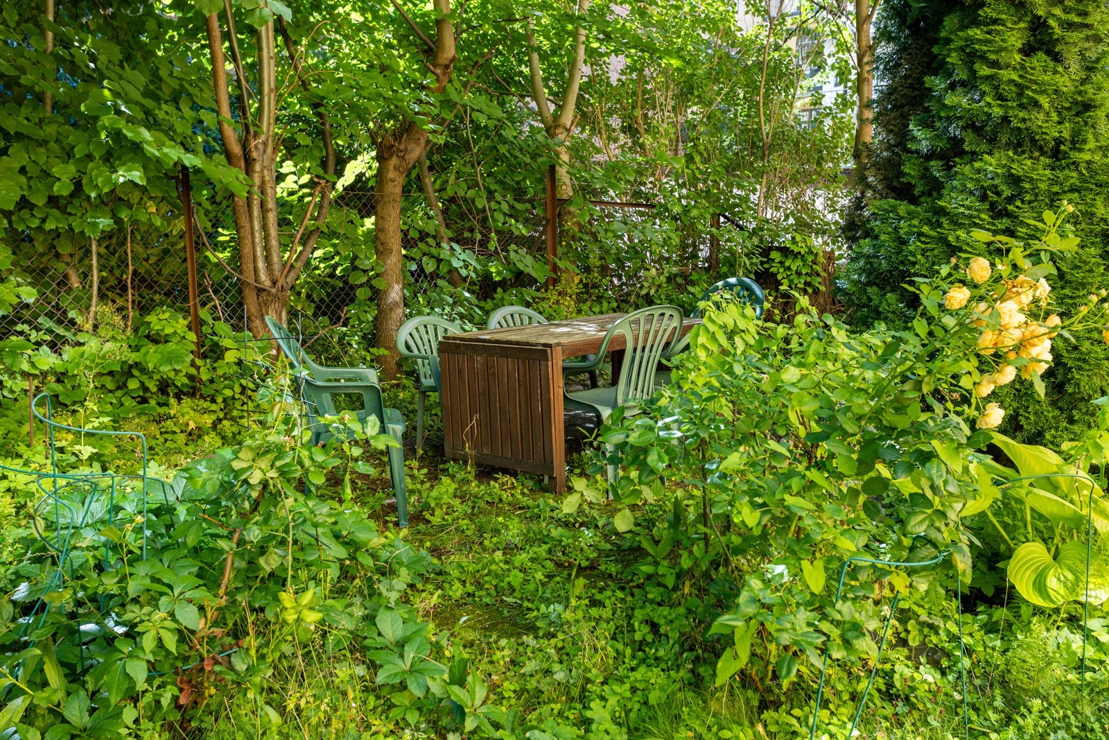 Grønn og hyggelig bakhage. Galleribilde