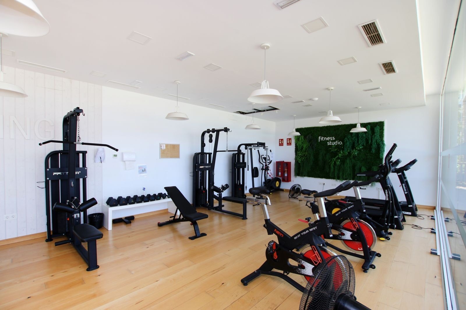 Er du glad i å trene? Galleribilde