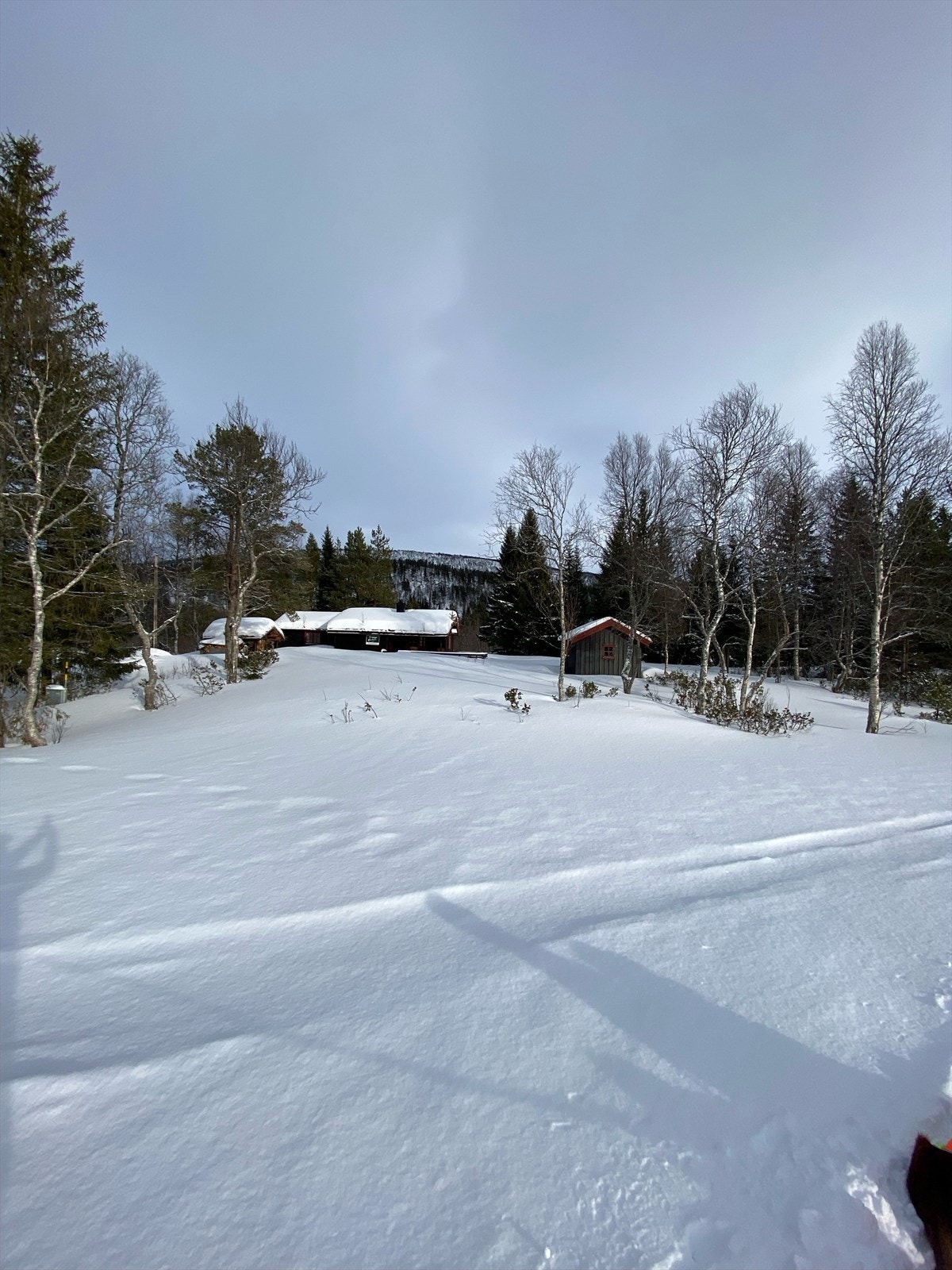 Vinterbilde Galleribilde