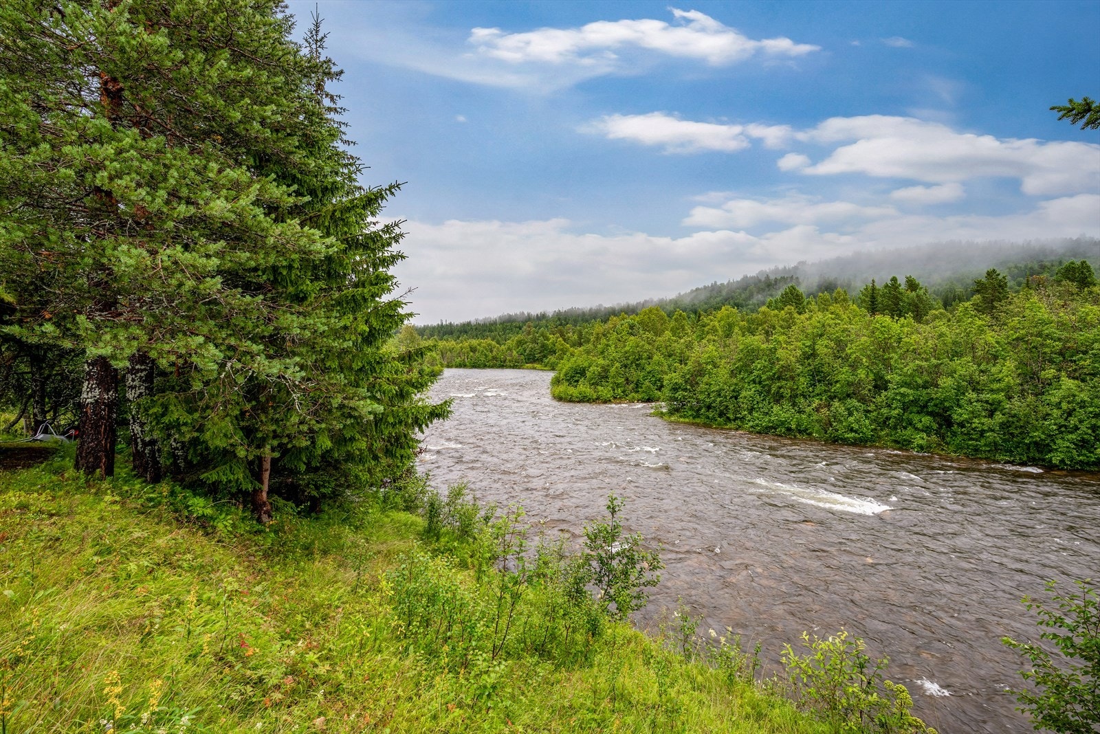 Elva Bua renner rett ved, og det går også laks fra Gaula opp i Bua Galleribilde