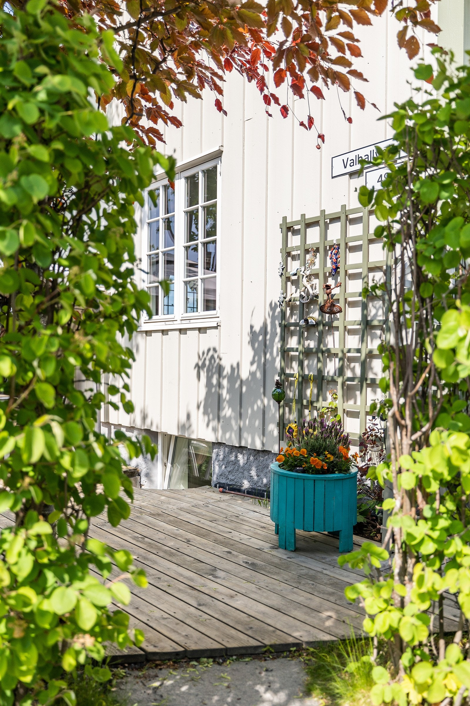 Frodig og vakkert. Galleribilde