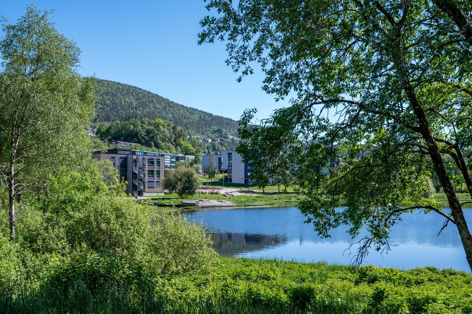 Husk å meld deg på visning! Galleribilde