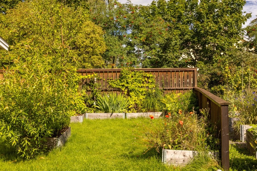 Har du grønne fingre, kan du bli med i Hagelaget og få deg en pallekarm å dyrke i. Galleribilde