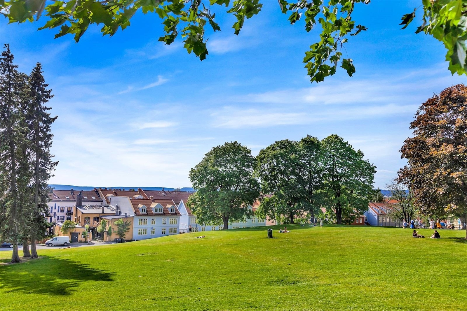 Vålerenga park I nærområdet finnes det mange flotte parker med nydelig turmuligheter, bla. Etterstadparken, Svartdalsparken og Kampen Park Galleribilde