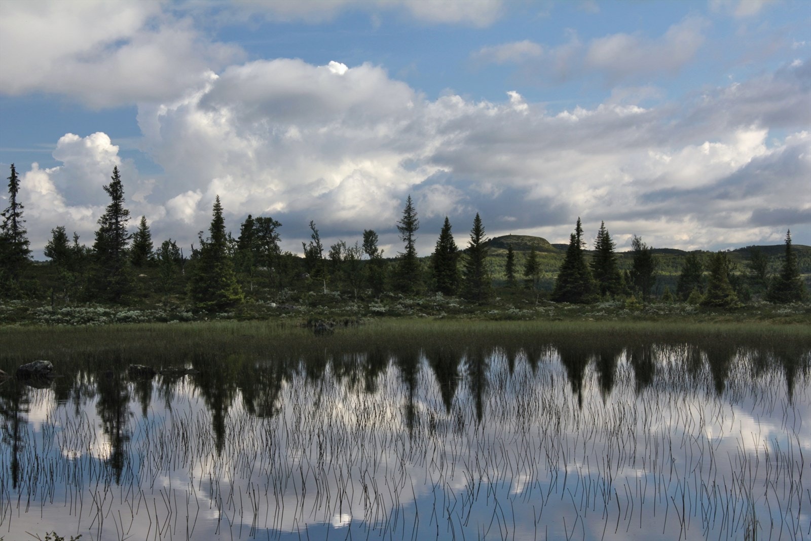 Bilde fra selger: Vann Galleribilde