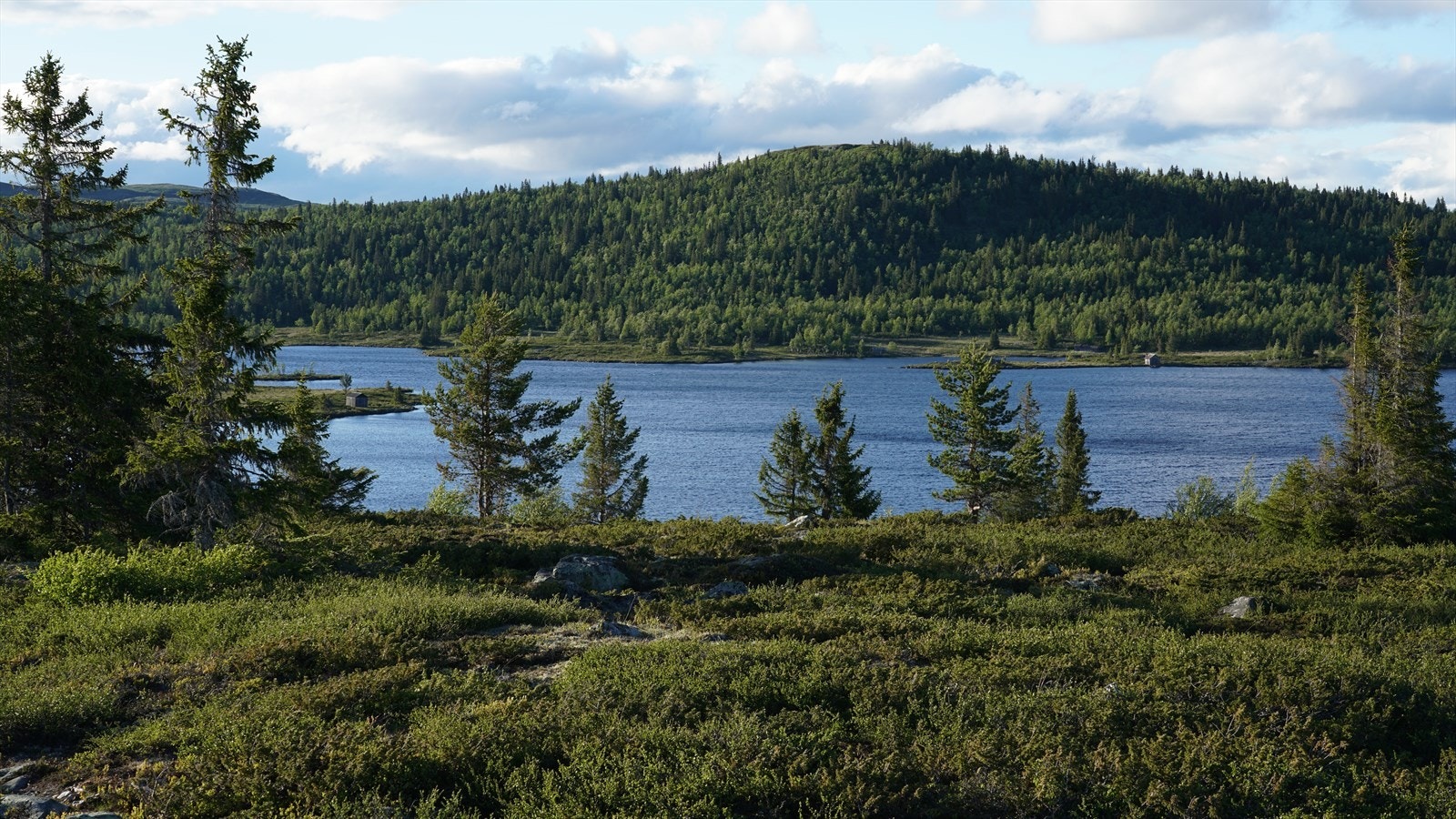 Bilde fra selger: Holmevatn. Galleribilde
