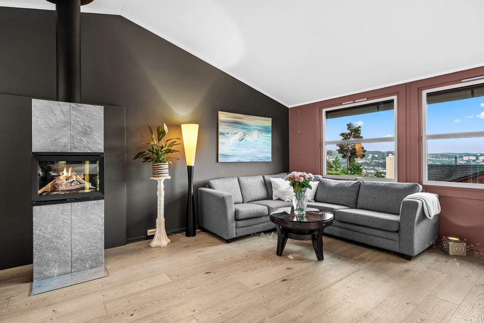 Superfint med kombinasjonen idyllisk på baksiden og utsikt på fremsiden. Galleribilde