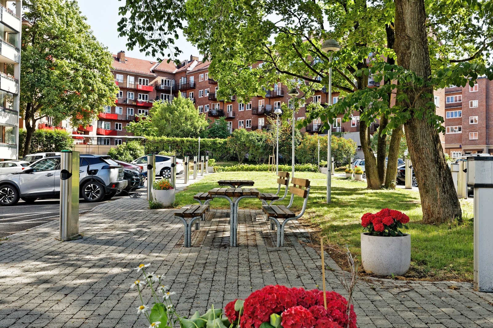 Pent opparbeidet fellesarealer med plantekasser og kirsebærtrær Galleribilde