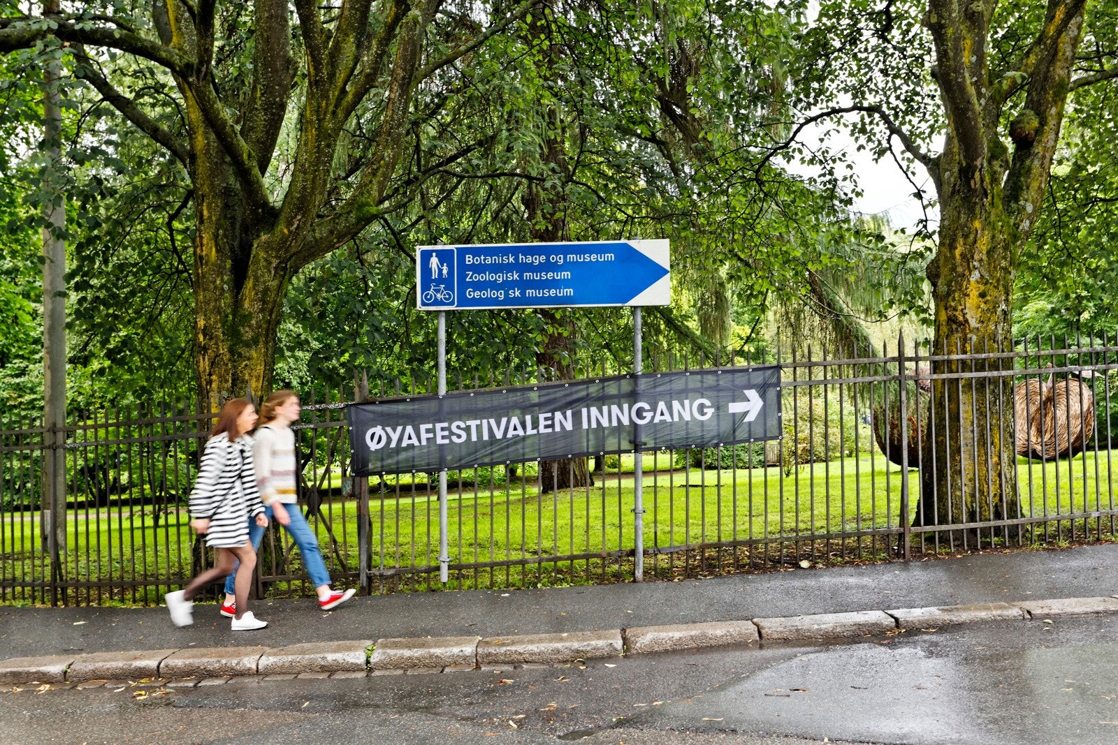 Øya-festivalen arrangeres i Tøyenparken, bare noen få minutter unna Galleribilde