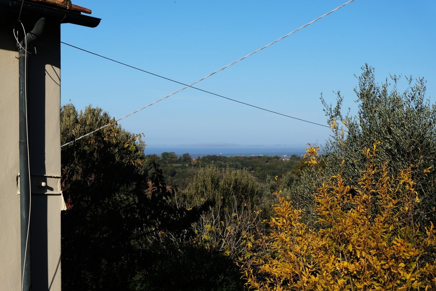 Panoramautsikt til vinmarkene og til Middelhavet Galleribilde