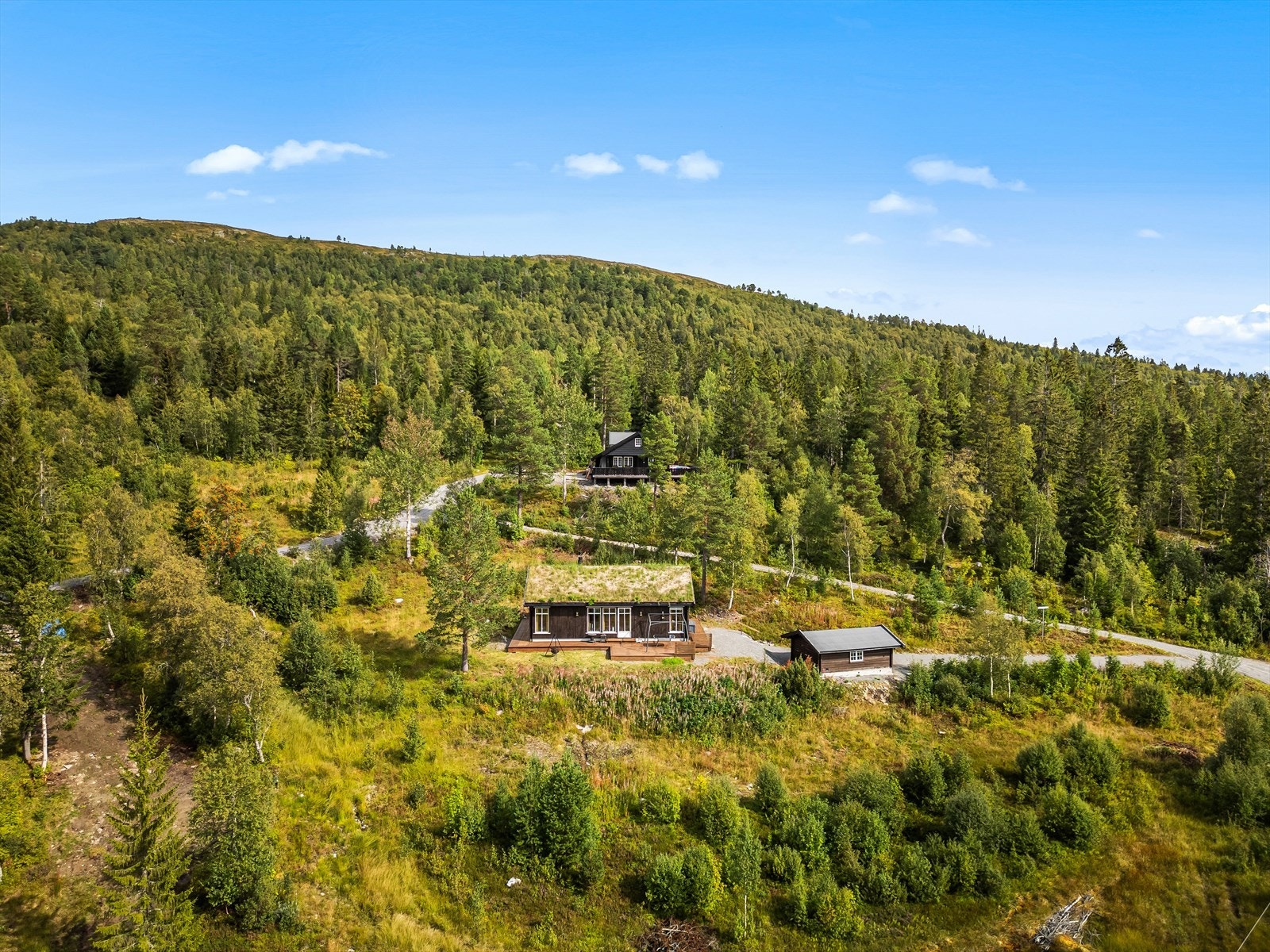 Dronefoto Galleribilde