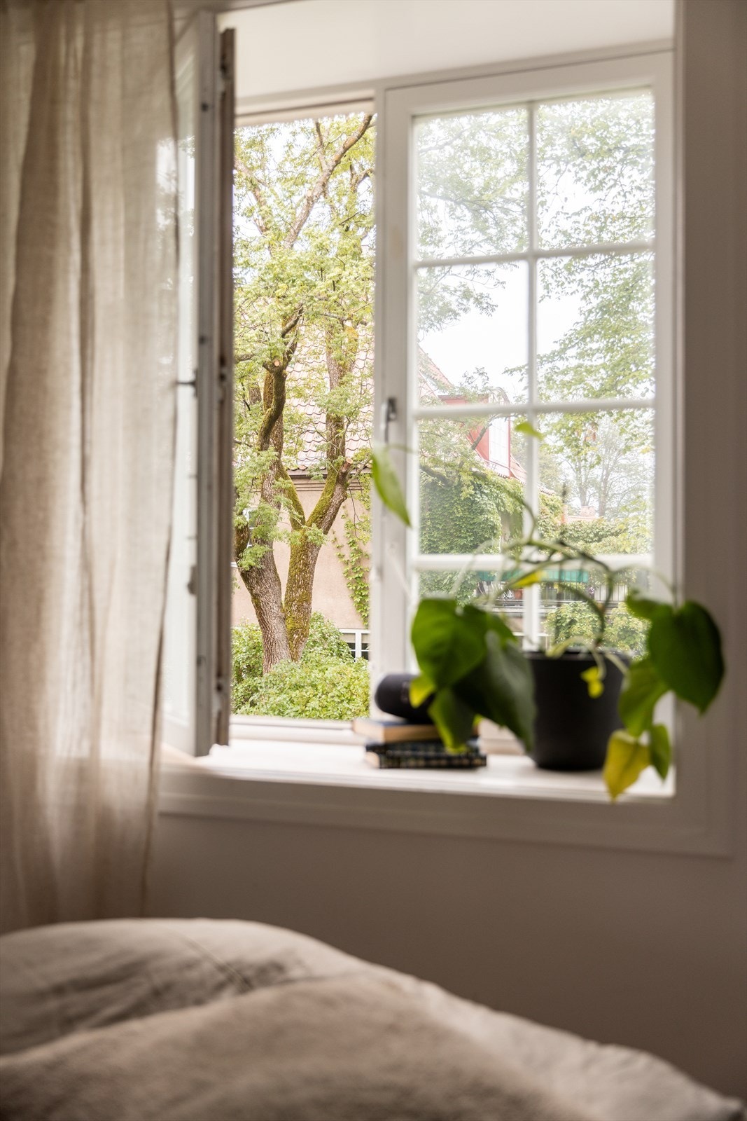 Detaljer | Herlig og frodig utsyn fra soveromsvinduet. Galleribilde